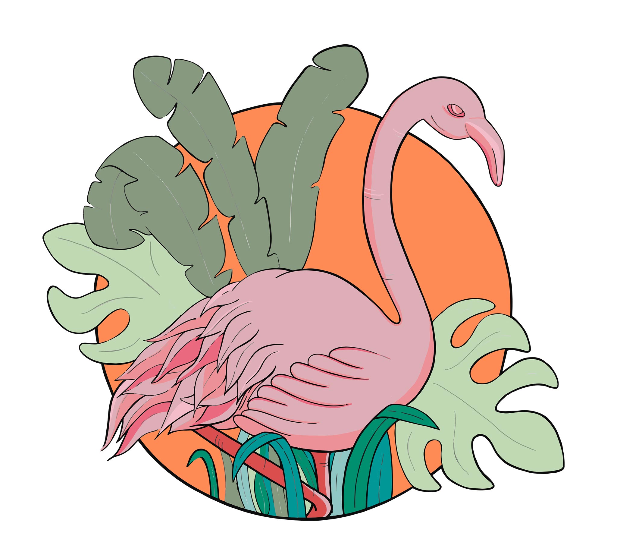 flamingo4