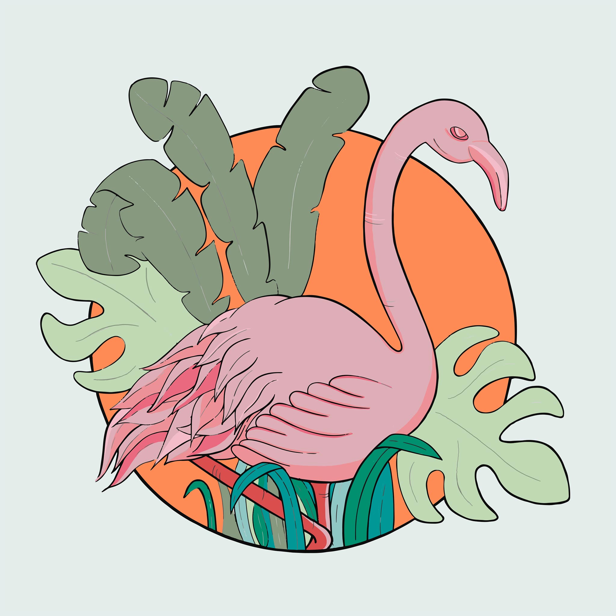 flamingo7