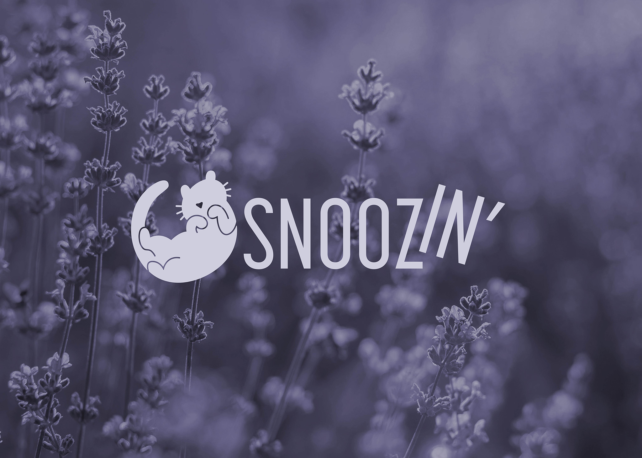 snoozin_splash_web